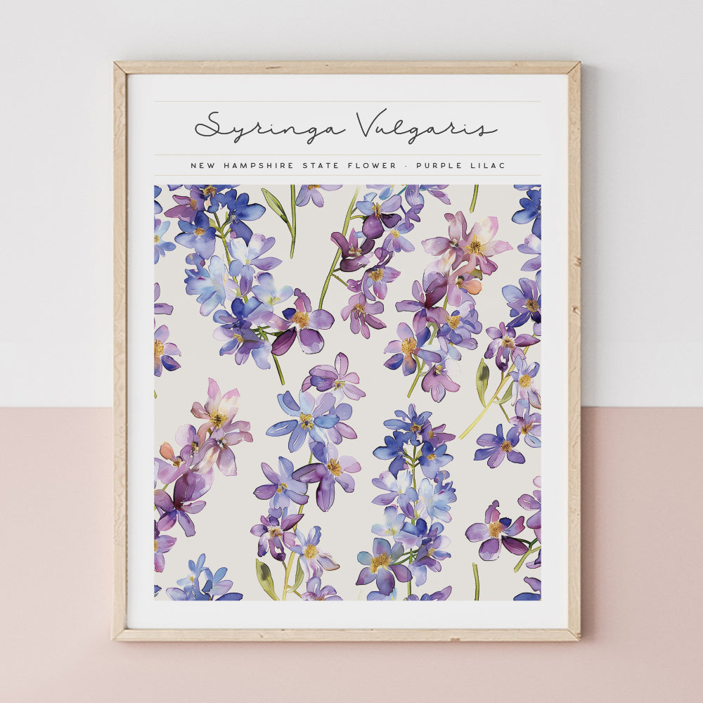 new hampshire state flower wall art