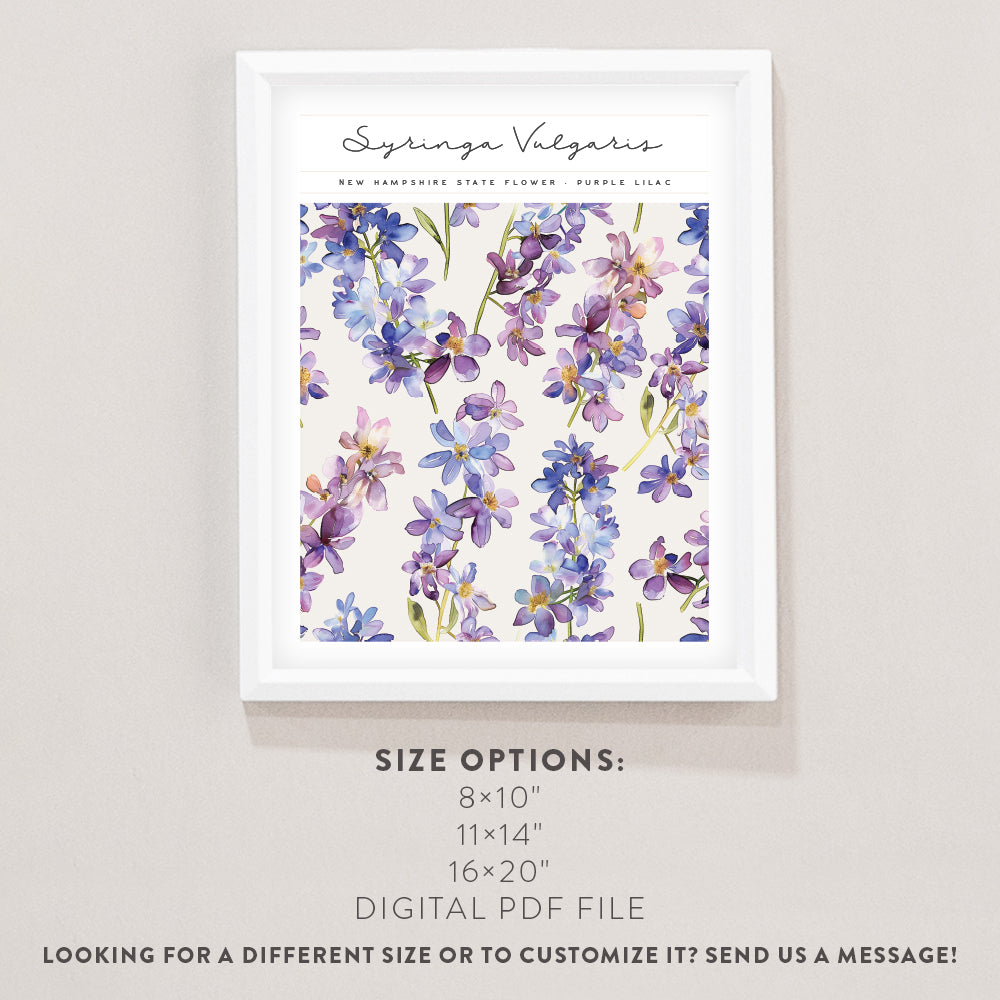 new hampshire state flower poster