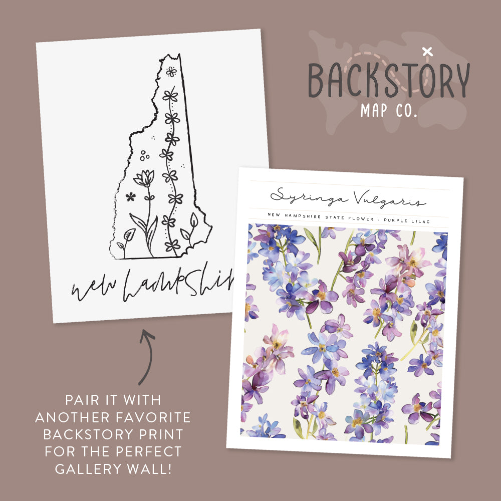 new hampshire posters