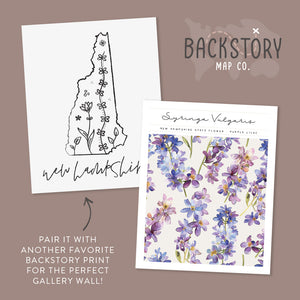 new hampshire posters