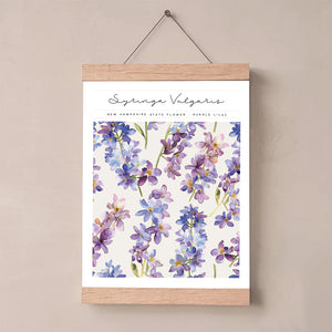 new hampshire state flower wall art