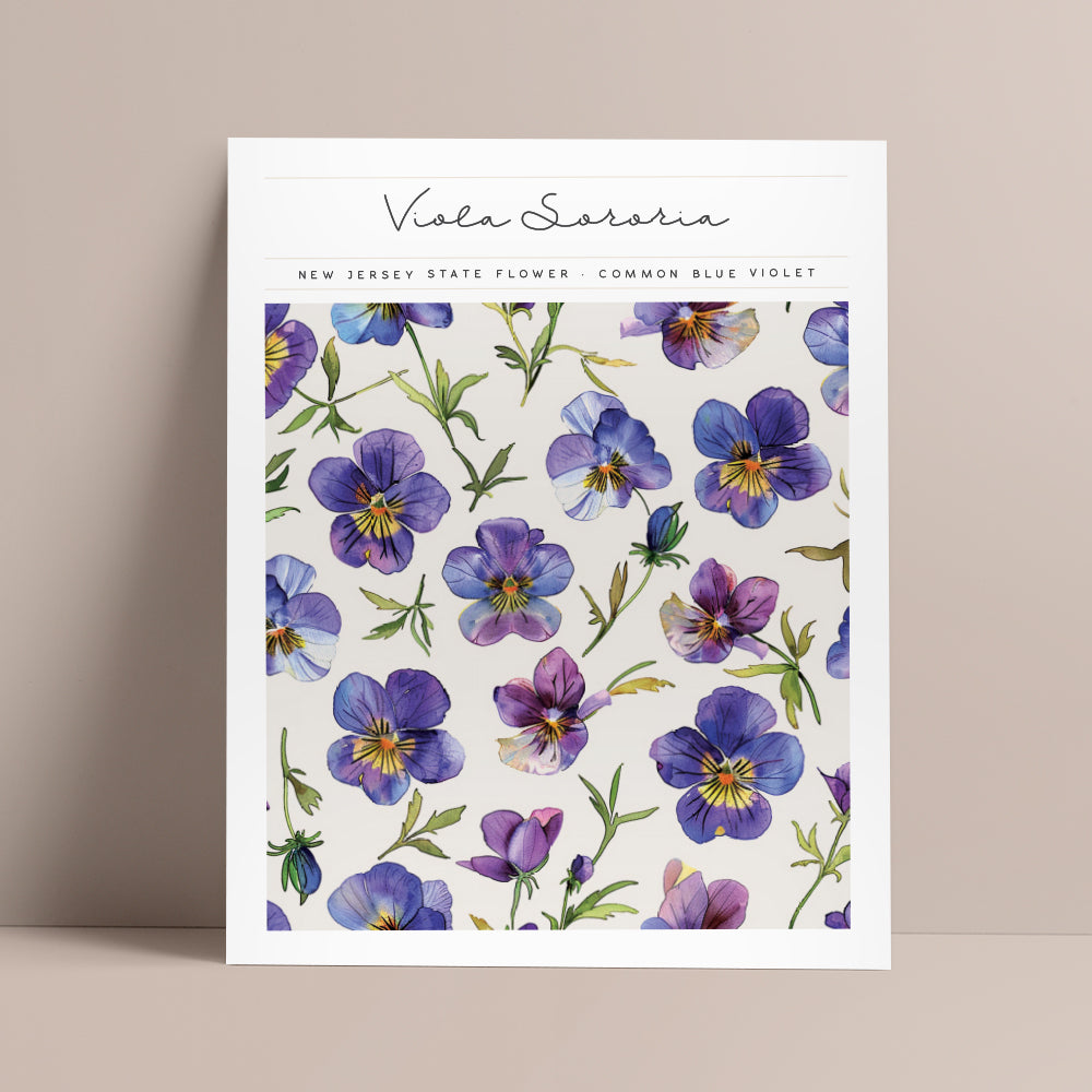 new jersey state flower