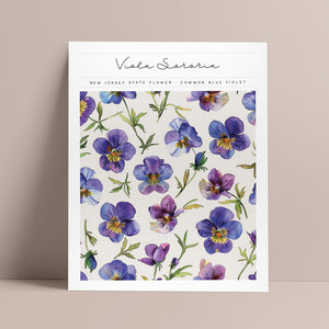 new jersey state flower