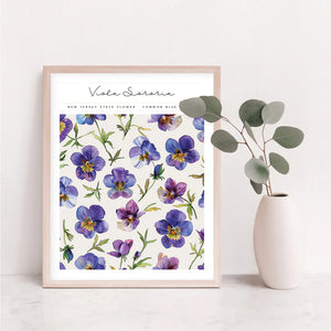 new jersey state flower poster