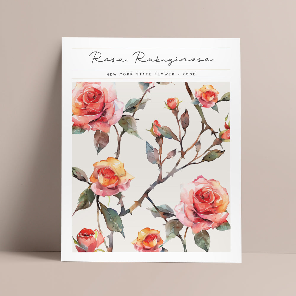 new york state flower