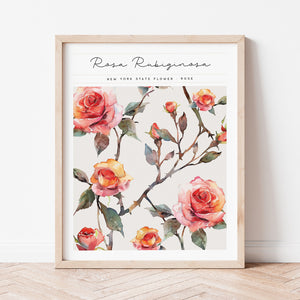 new york state flower rose