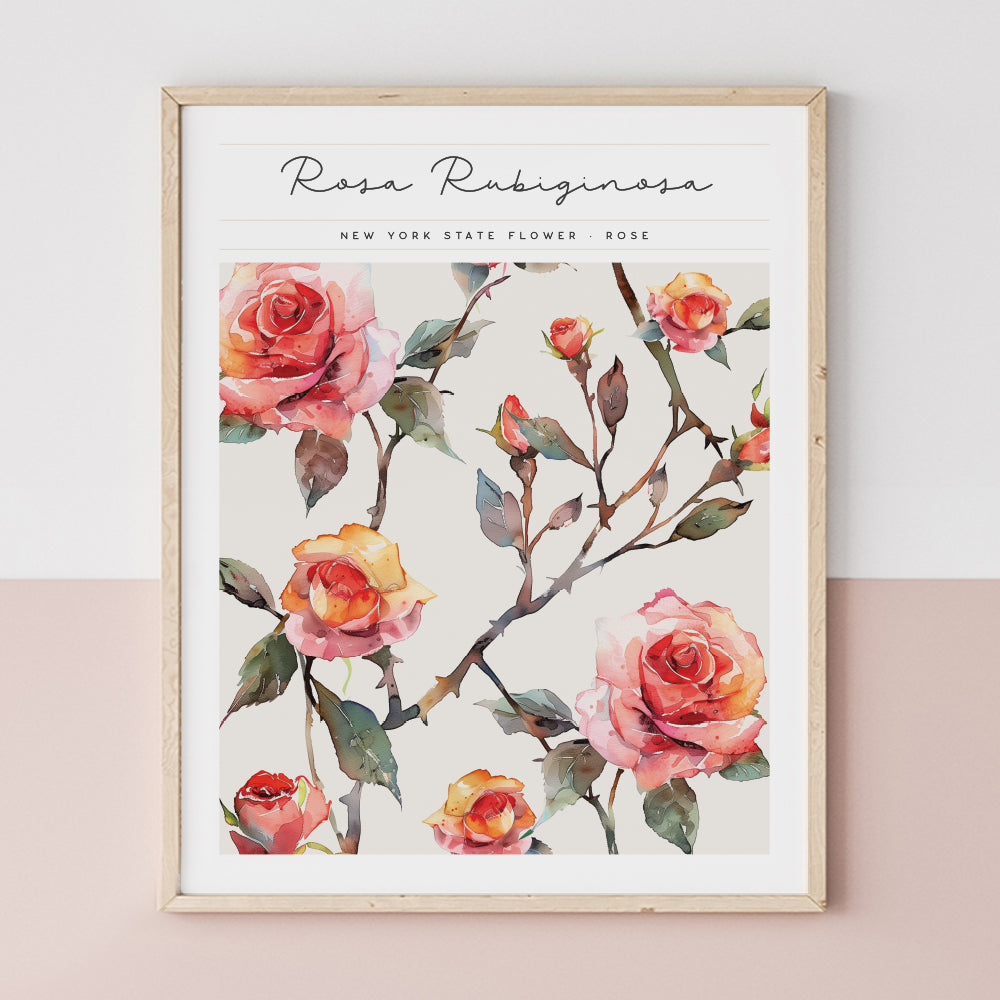 New York State Flower