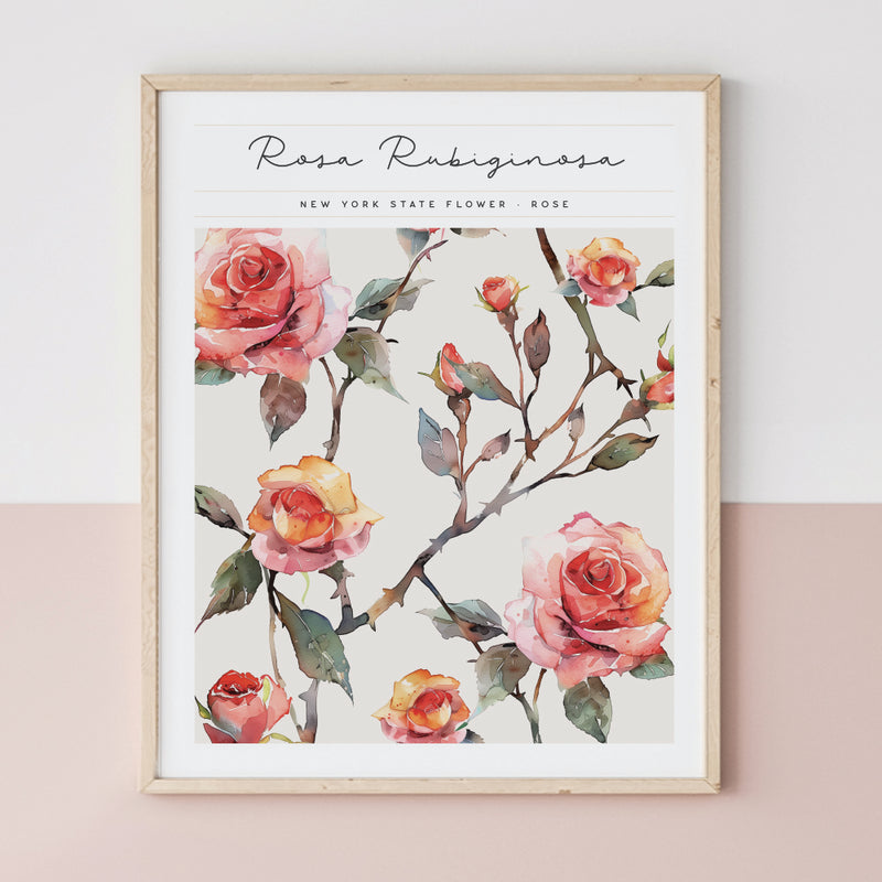 New York State Flower