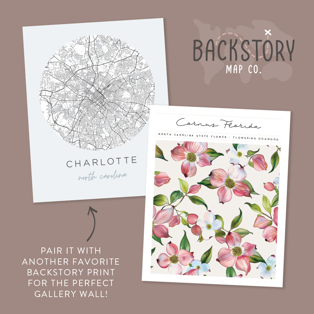 north carolina posters