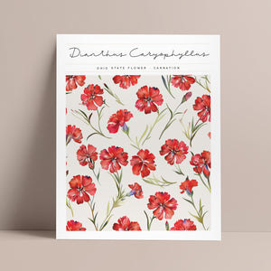 ohio state flower carnation