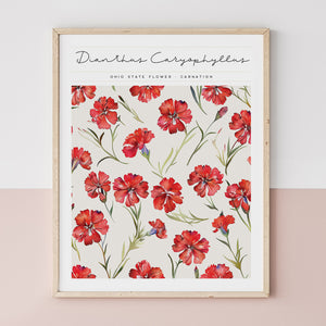 ohio state flower poster