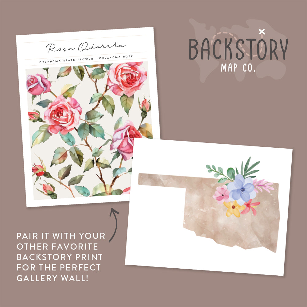 oklahoma state flower