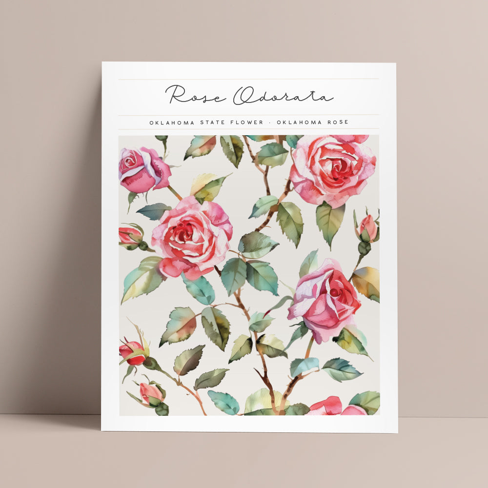 oklahoma state flower wall art