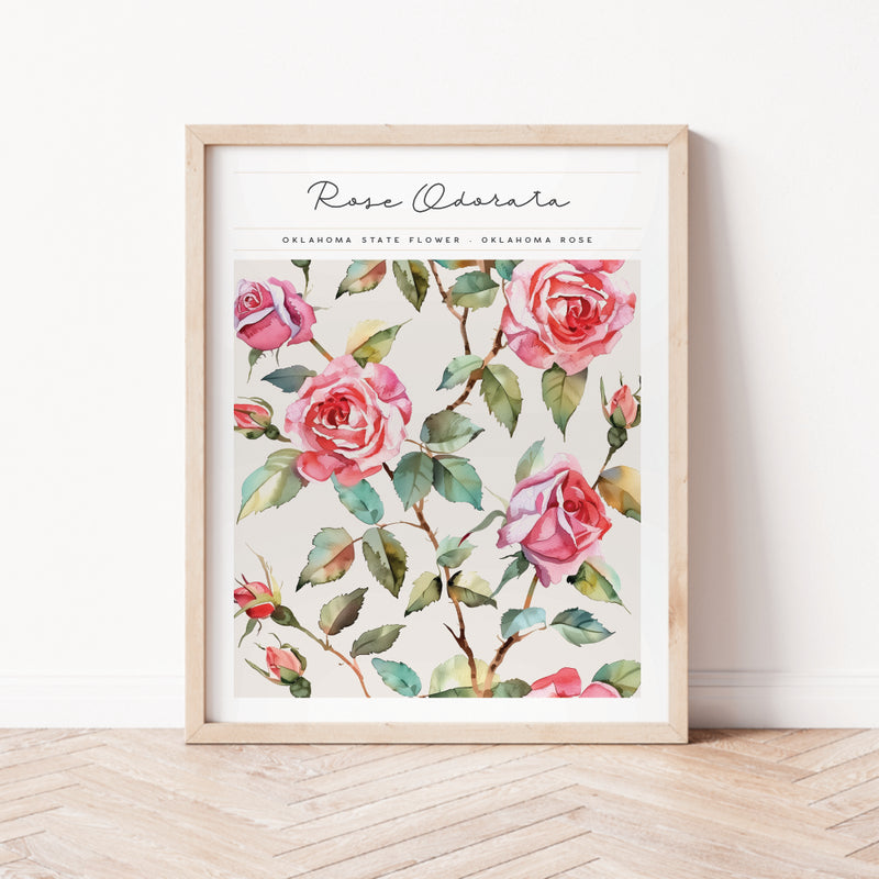 Oklahoma State Flower