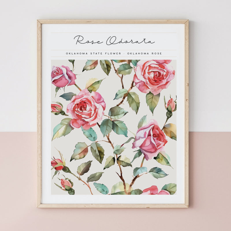 Oklahoma State Flower