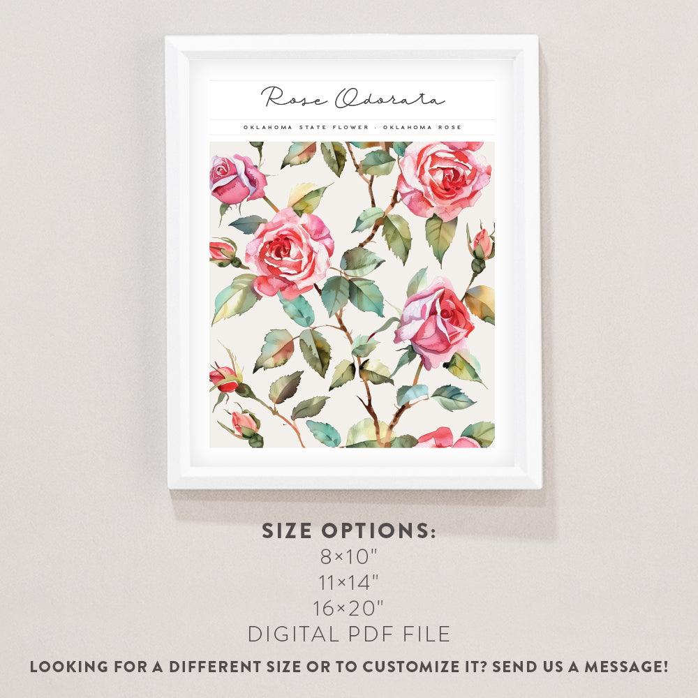 oklahoma state flower wall art