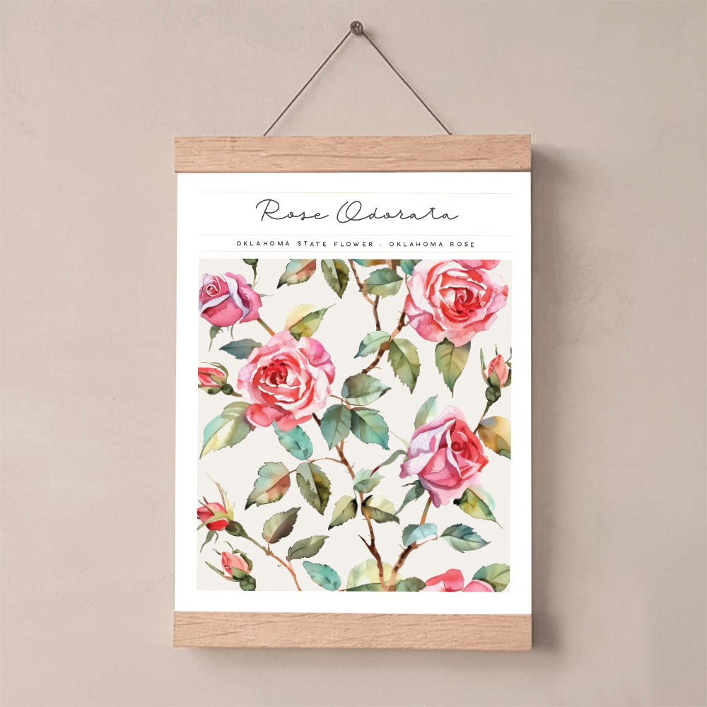 oklahoma rose wall art