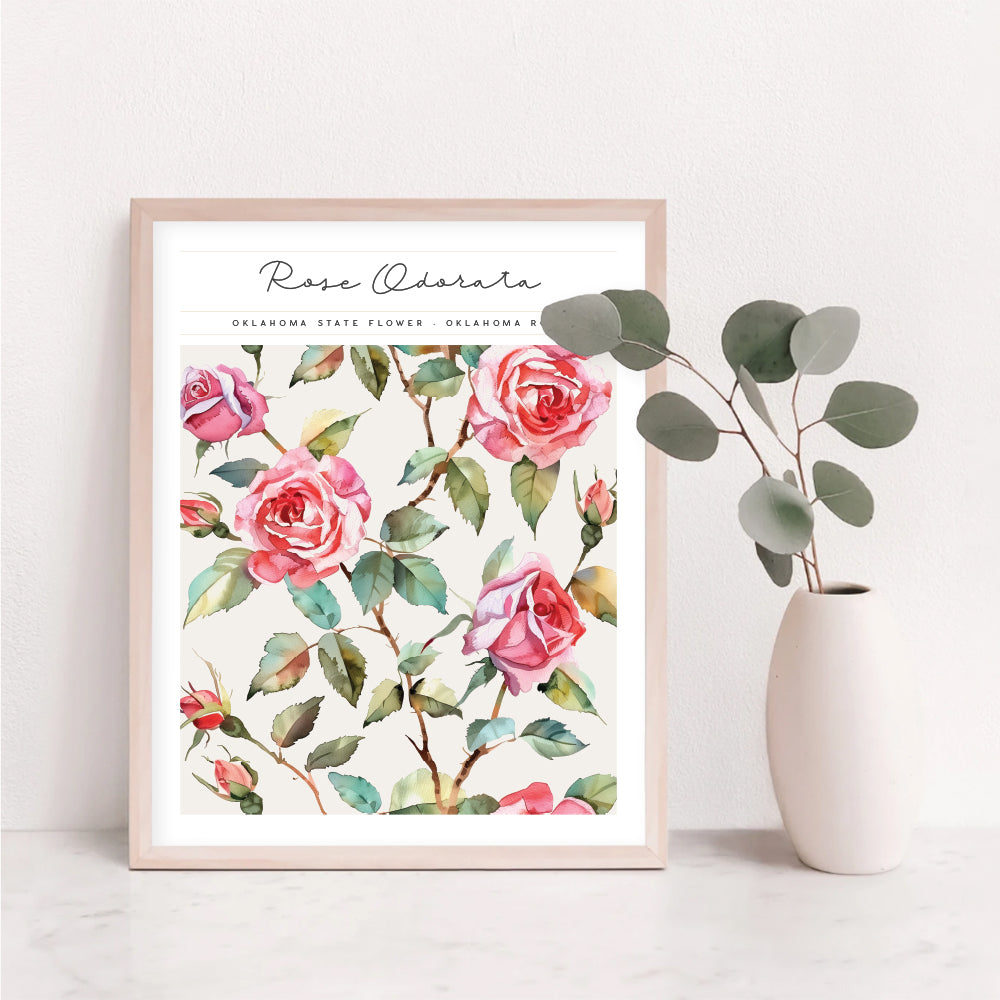 oklahoma floral wall art