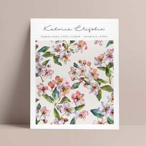 pennsylvania state flower