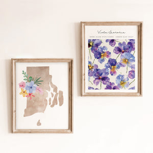 rhode island state flower