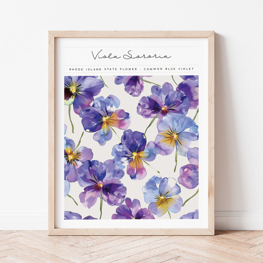 rhode island state flower violet