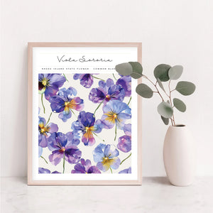 rhode island state flower poster