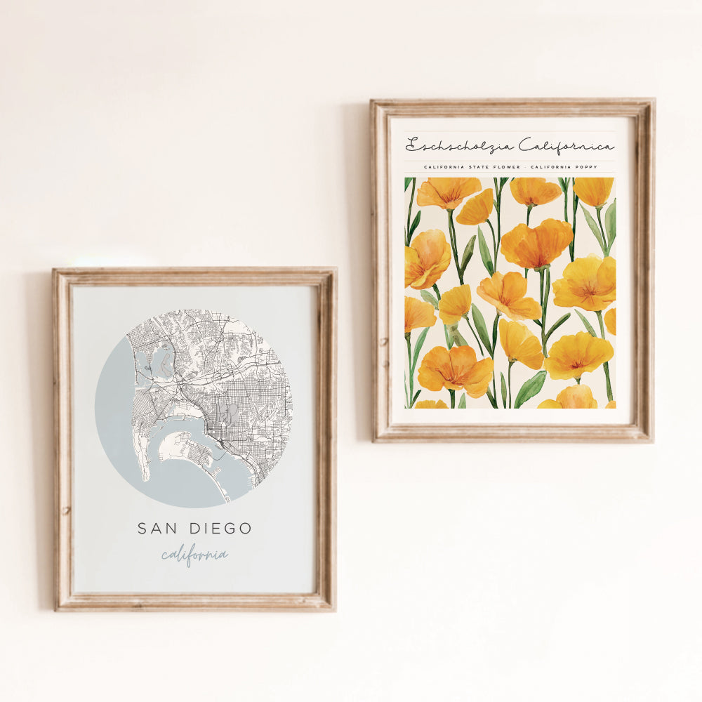 san diego posters