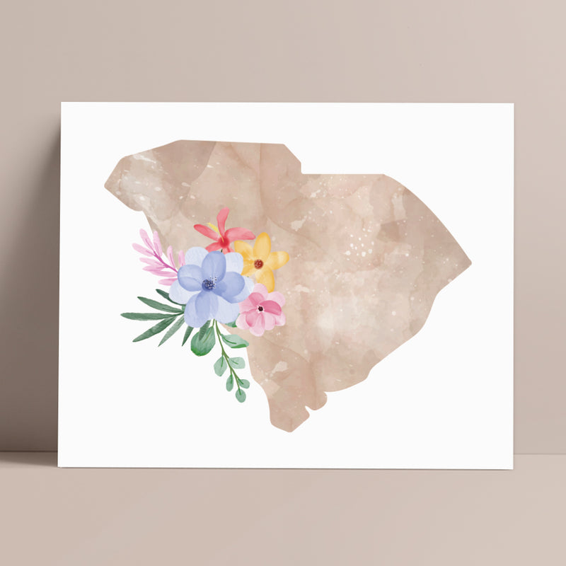 map of south carolina