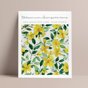 south carolina state flower