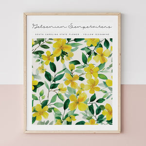 south carolina state flower poster