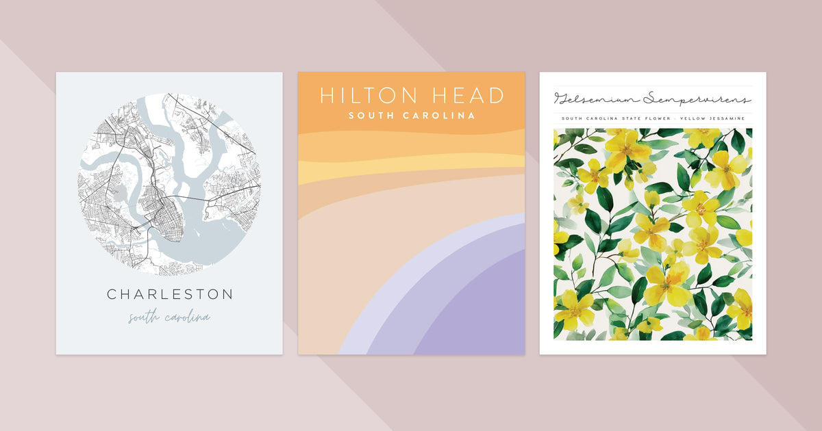 south carolina wall art