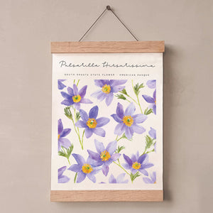 south dakota state flower poster