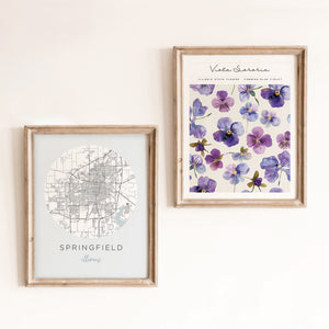 springfield illinois posters