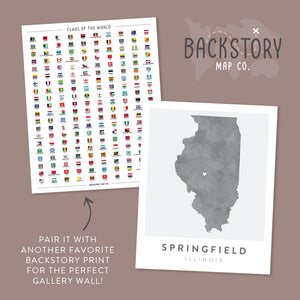 illinois poster