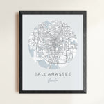Load image into Gallery viewer, tallahassee map

