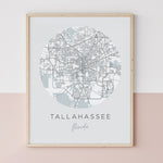Load image into Gallery viewer, tallahassee map
