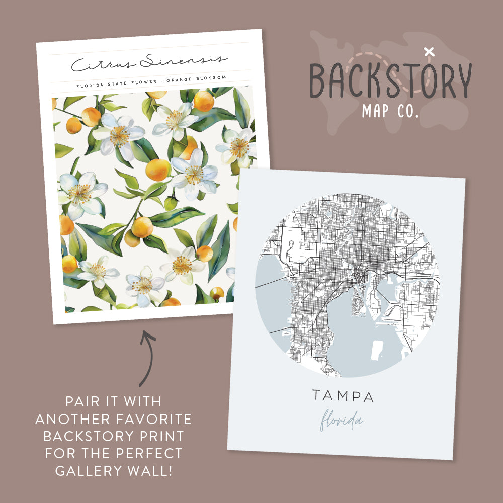 tampa florida posters