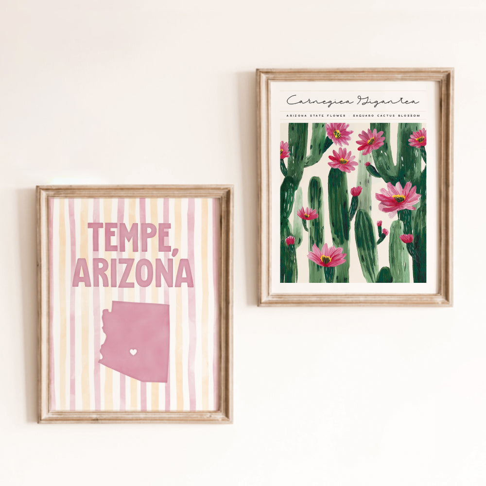 Tempe, Arizona Poster