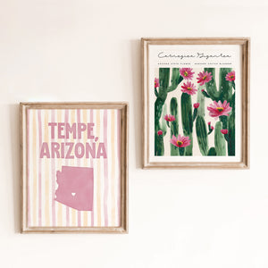 Tempe, Arizona Poster