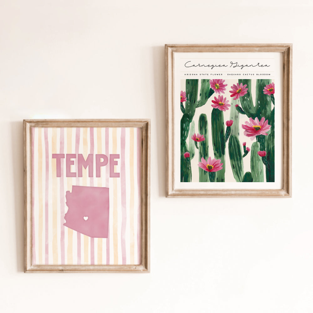 Tempe, Arizona Poster