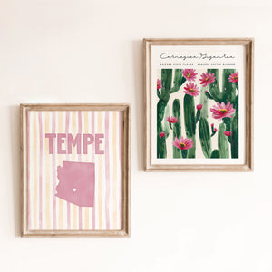 Tempe, Arizona Poster