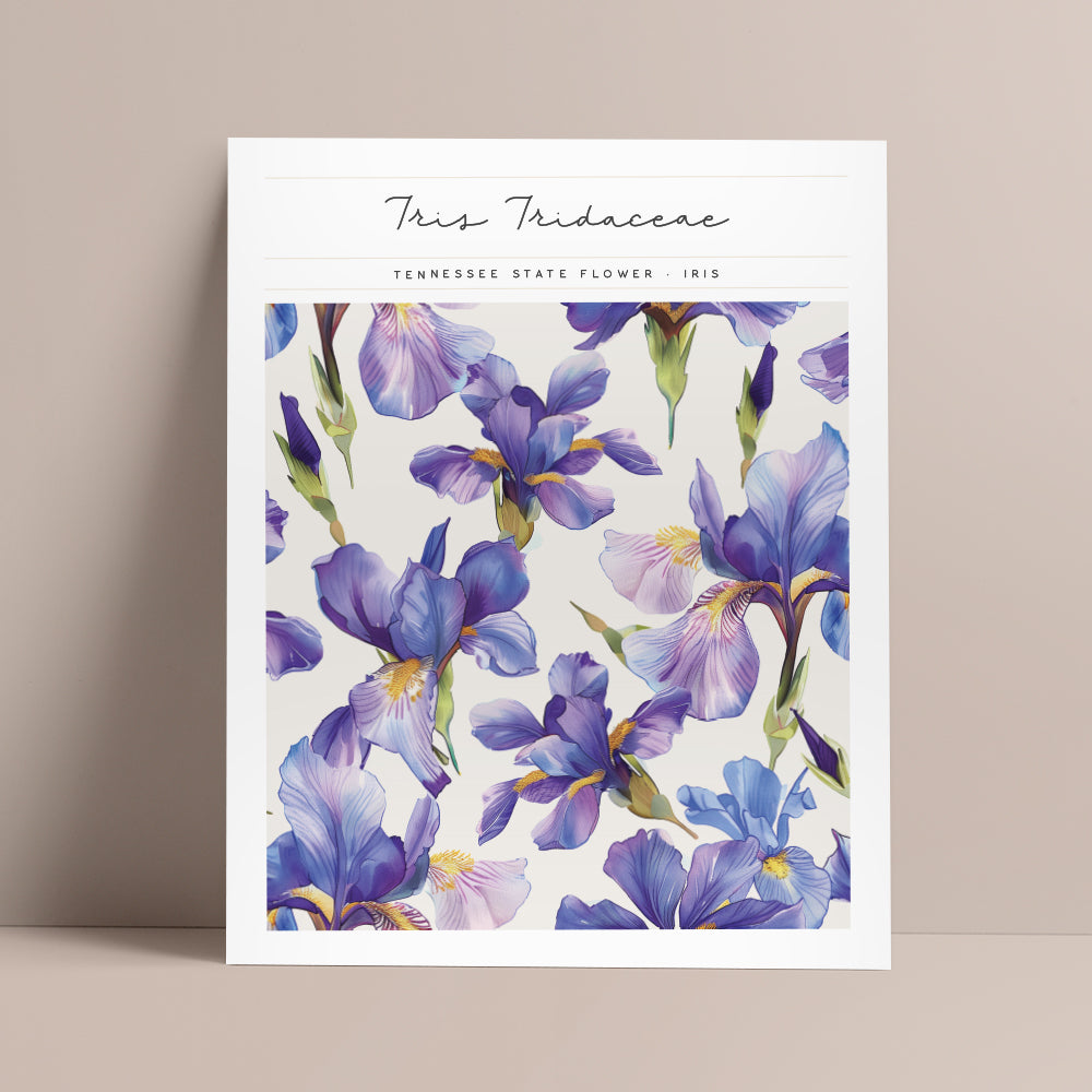 tennessee state flower