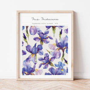 tennessee state flower poster