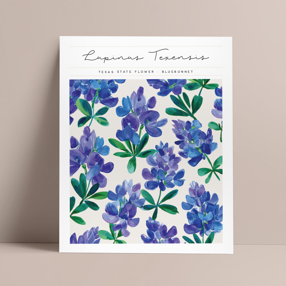 Texas State Flower Art | Backstory Map Co.