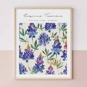 texas floral wall art