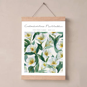 utah state flower poster