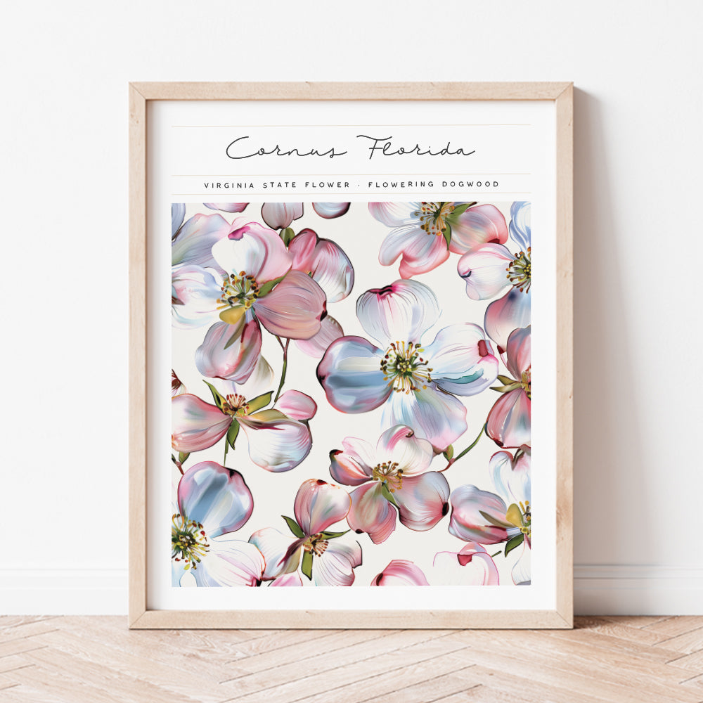 virginia state flower flowering dogwood