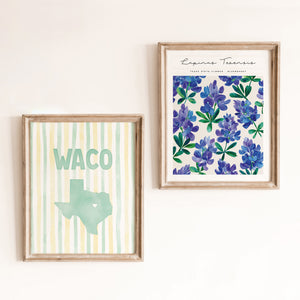 Waco, Texas Poster
