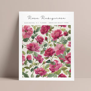 washington dc flower