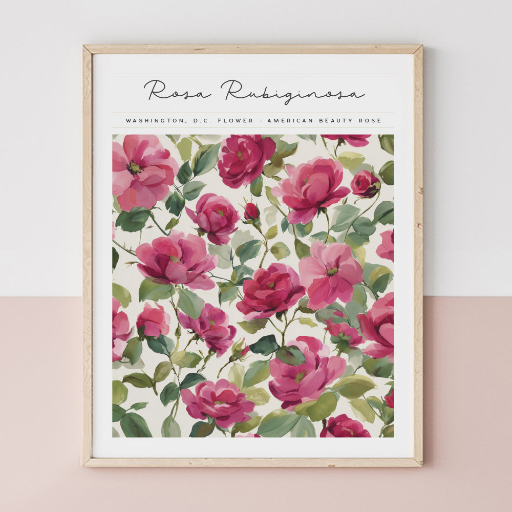 washington dc art print